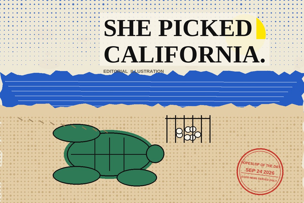 Cut-paper zine illustration: a halftone blue ocean band above tan sand, a flat green paper sea turtle beside her flipper tracks, a small fenced clutch of cream-coloured eggs, and a distressed red HOPESLOP OF THE DAY stamp dated SEP 24 2026.